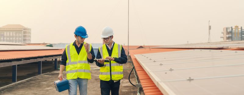 Inspection and Consultation