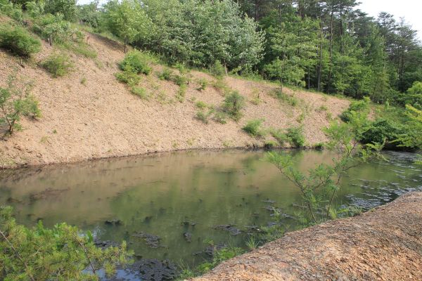 Cost of Pond Erosion Repair in Cuyahoga Falls