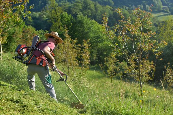Cost of Slope Trimming in Cuyahoga Falls